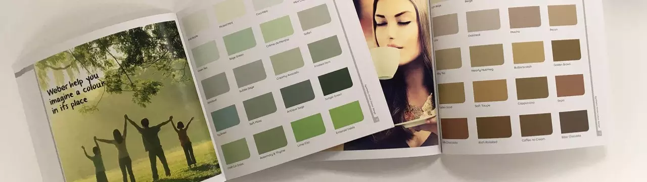 color-card.jpg Weber Romania