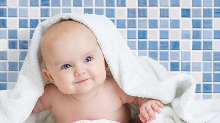 paletar culori chit comfort